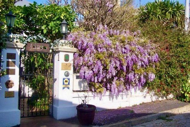 4 Bedroom Property for Sale in Green Point Western Cape